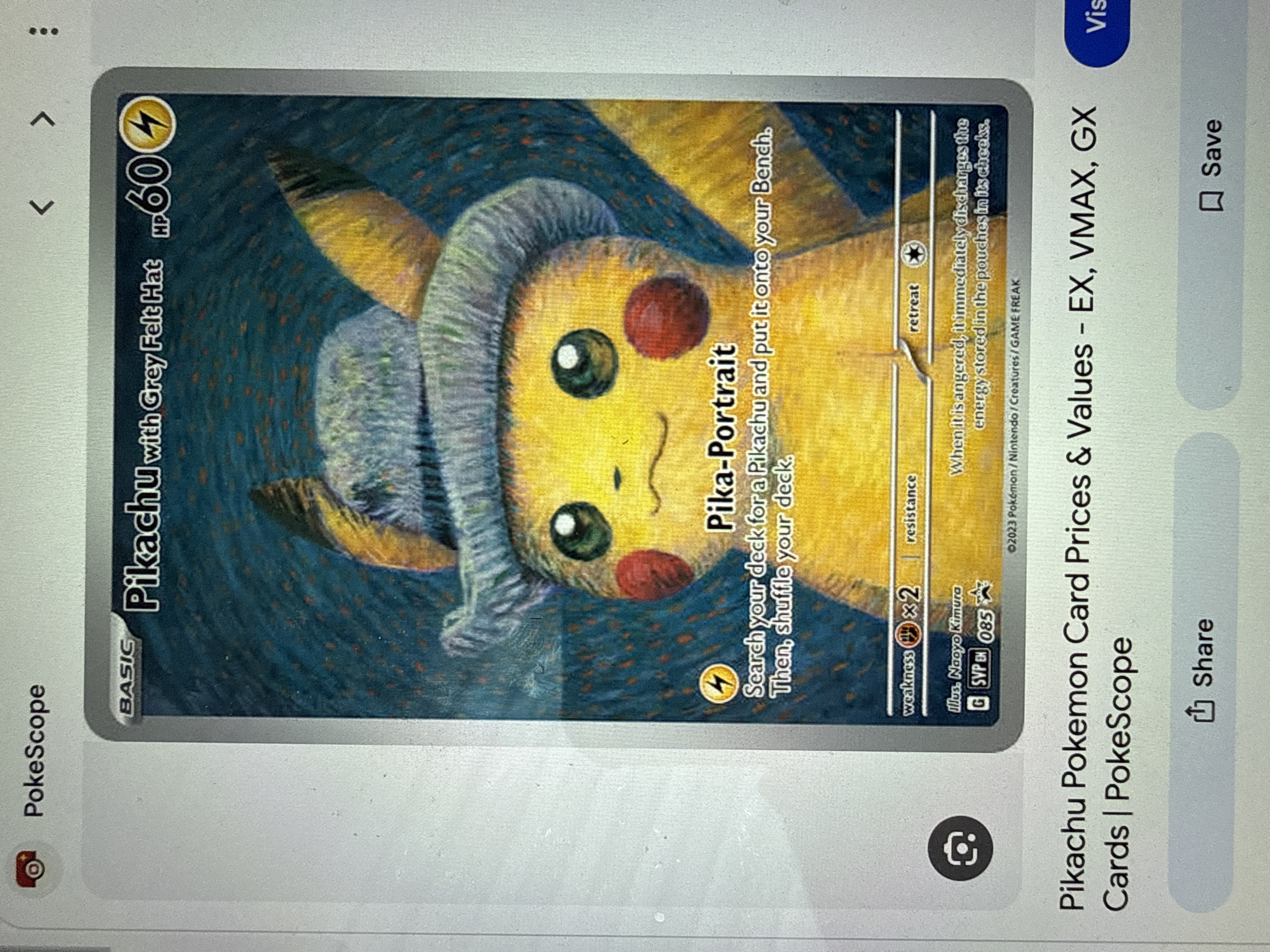 Pikachu with Grey Felt Hat